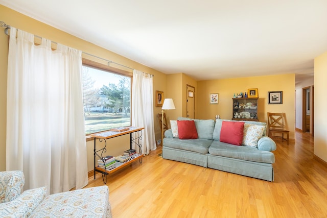 living room with hardwood / wood-style floors