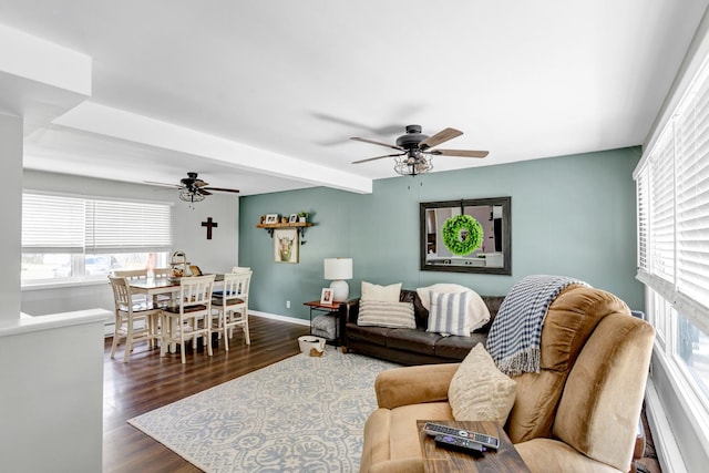 living room featuring ceiling fan, dark hardwood / wood-style floors, and beam ceiling