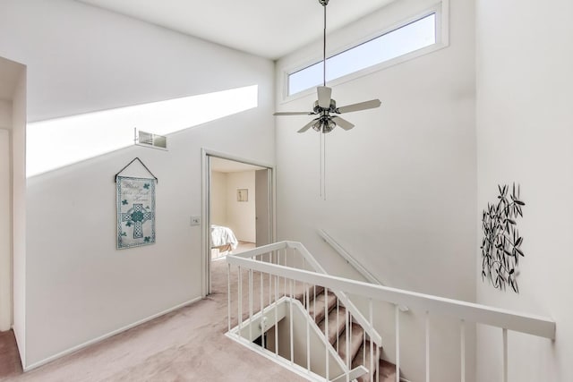 stairway featuring a high ceiling, carpet flooring, and ceiling fan