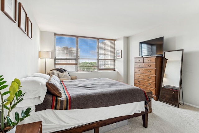 bedroom with carpet floors