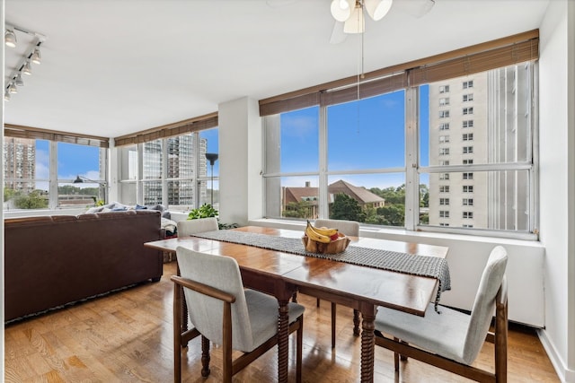 dining space featuring ceiling fan and light hardwood / wood-style floors