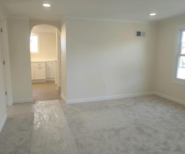 carpeted spare room featuring plenty of natural light and ornamental molding