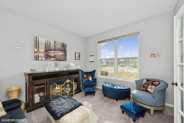 sitting room with carpet