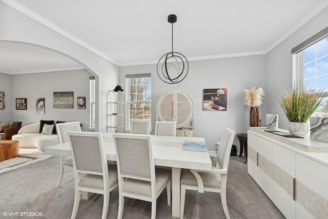 carpeted dining room featuring crown molding and a wealth of natural light