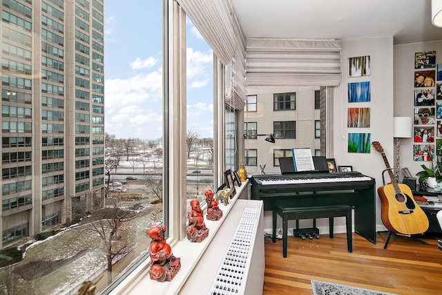 miscellaneous room with plenty of natural light and hardwood / wood-style floors