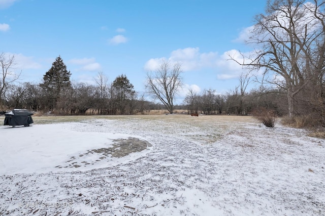 view of snowy yard