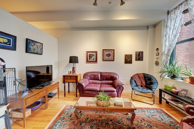 living room with light wood-type flooring