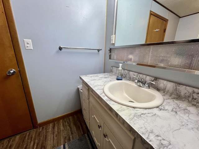 bathroom with vanity and wood-type flooring