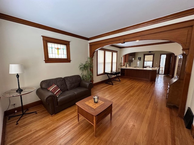 living room with crown molding, plenty of natural light, and light hardwood / wood-style floors