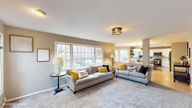 carpeted living room with a wealth of natural light