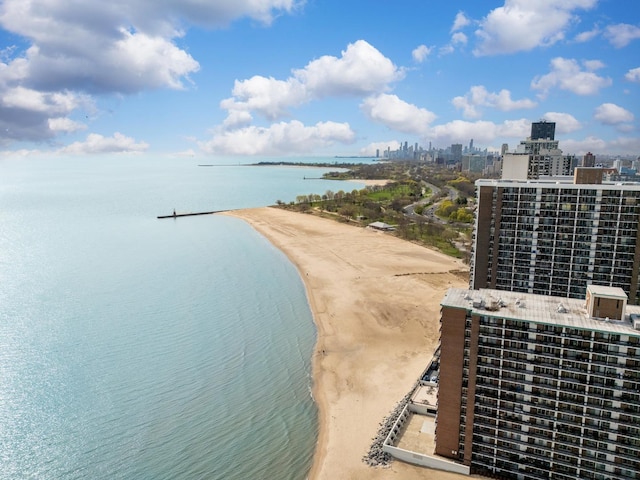 1254 W Norwood St, Chicago, IL 60660 - property view of water featuring a view of the beach and a view of city