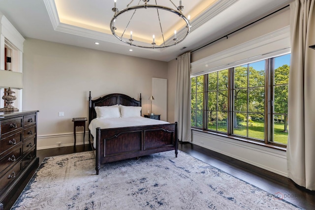 bedroom featuring a raised ceiling and dark wood-type flooring