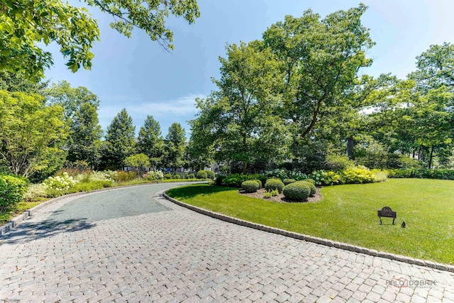 view of property's community featuring a lawn