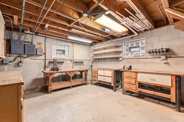 basement with electric panel and a workshop area