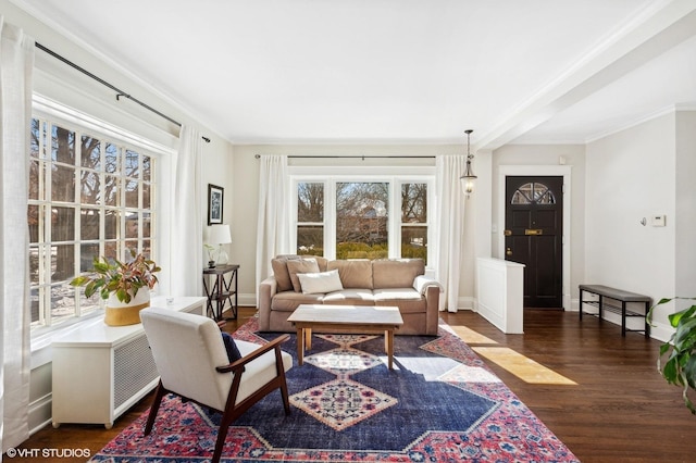 living area featuring ornamental molding, wood finished floors, and baseboards