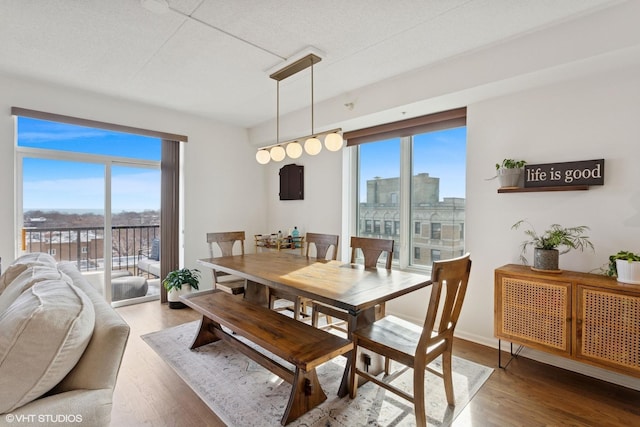 dining area featuring a view of city, a healthy amount of sunlight, and wood finished floors