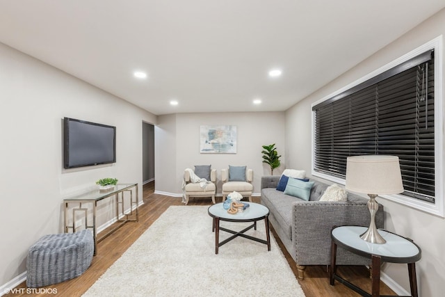 living room with hardwood / wood-style flooring