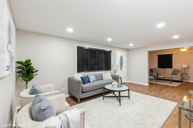 living room with hardwood / wood-style flooring and ceiling fan