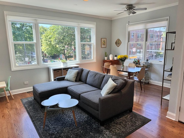 living area with ceiling fan, baseboards, crown molding, and wood finished floors