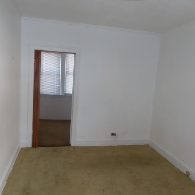 spare room featuring carpet floors and crown molding