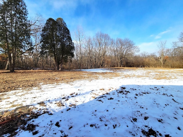 view of yard layered in snow