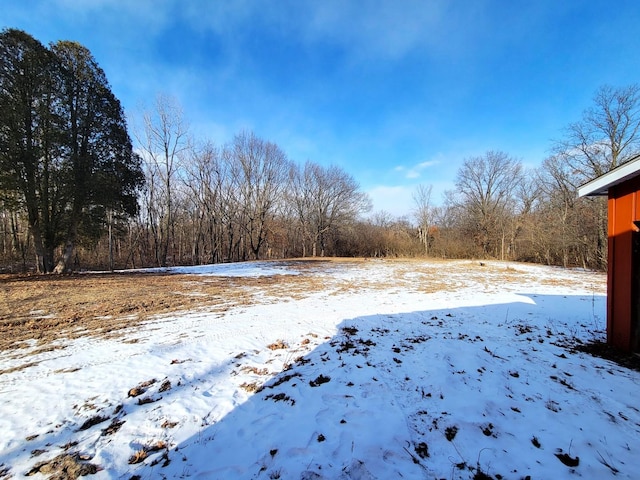 view of yard covered in snow