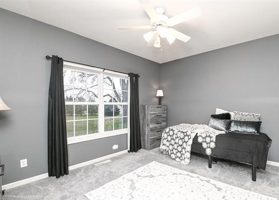 521 E 2700 N Rd, Deland, IL 61839 - living area with ceiling fan, a healthy amount of sunlight, and light colored carpet