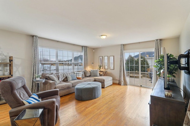 living room with a healthy amount of sunlight and light wood-type flooring