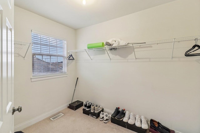 spacious closet with carpet flooring