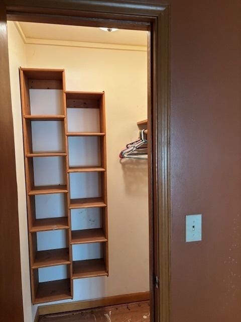 view of closet