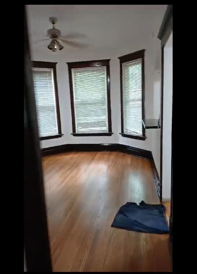 unfurnished room featuring ceiling fan and wood-type flooring