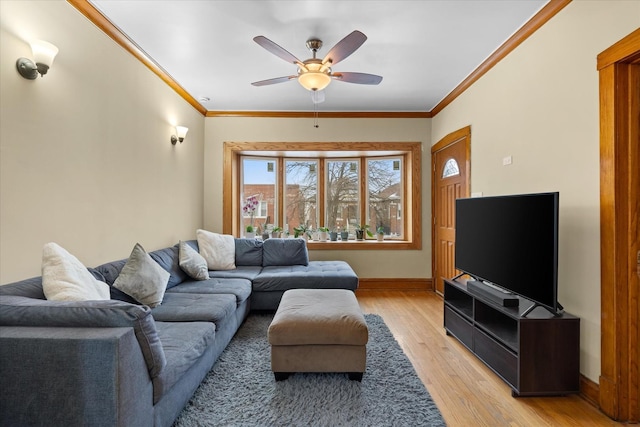 living room featuring crown molding, ceiling fan, and light hardwood / wood-style flooring