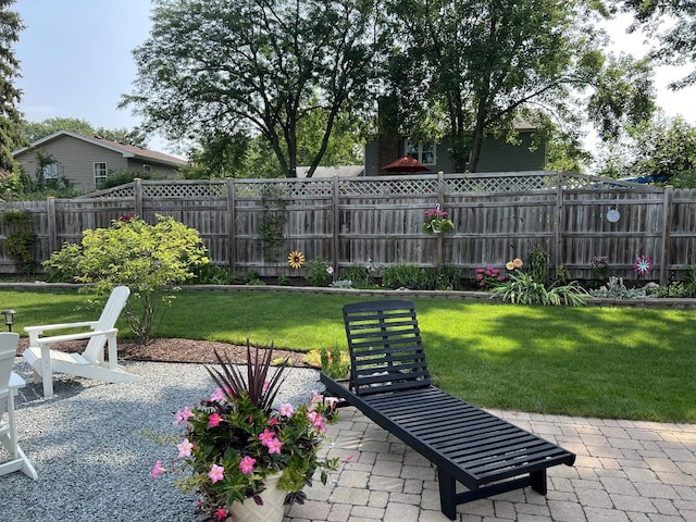 view of yard featuring a patio area