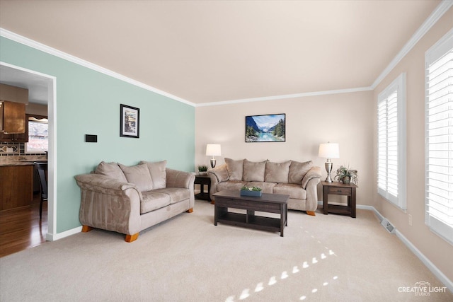 living room featuring carpet and crown molding