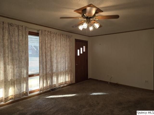 carpeted entrance foyer with crown molding, a wealth of natural light, ceiling fan, and a textured ceiling