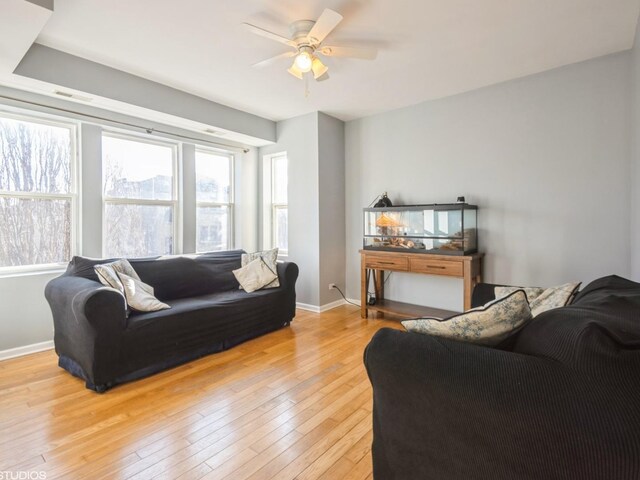 living room with ceiling fan and light hardwood / wood-style flooring