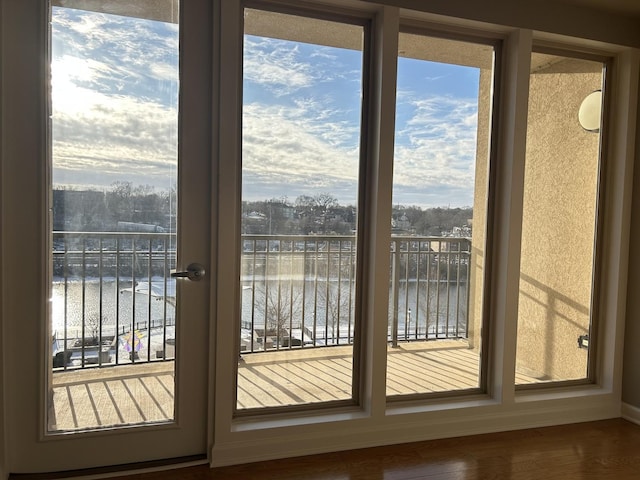 doorway featuring hardwood / wood-style flooring and a water view