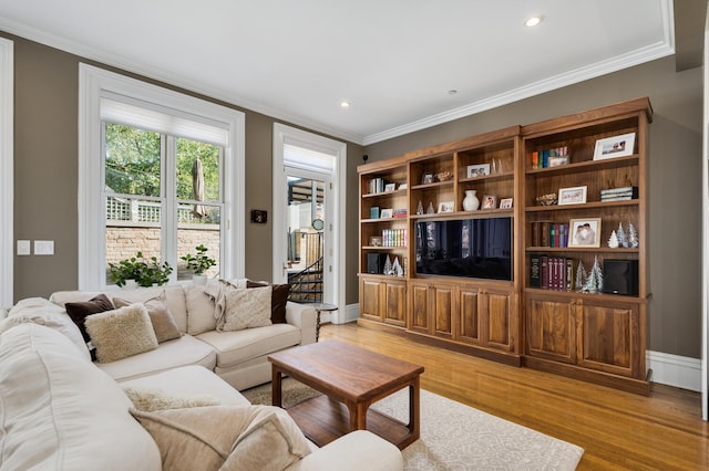 living room with crown molding and light hardwood / wood-style flooring