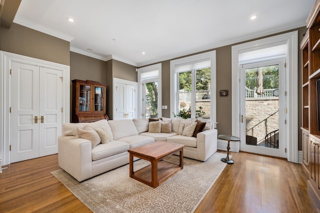 living room featuring light hardwood / wood-style flooring and crown molding