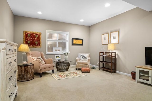 living area featuring light colored carpet