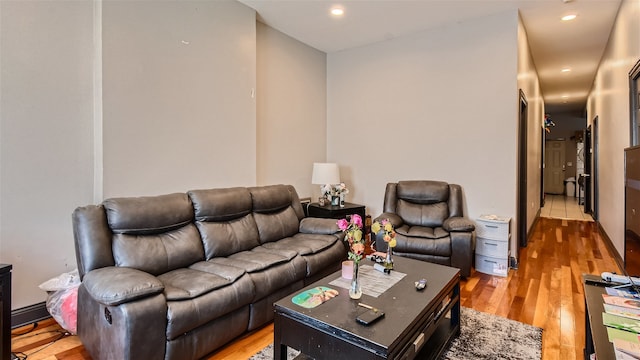 living room with light hardwood / wood-style flooring