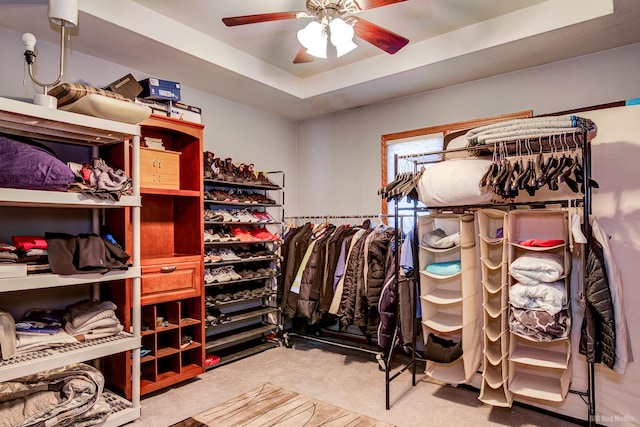 spacious closet featuring carpet, ceiling fan, and a tray ceiling