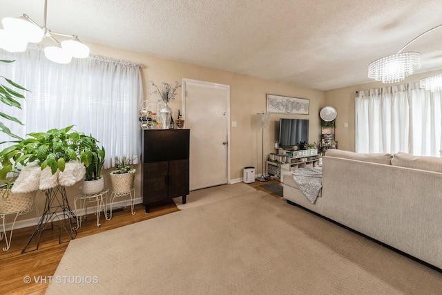 living room with hardwood / wood-style floors, plenty of natural light, and a textured ceiling