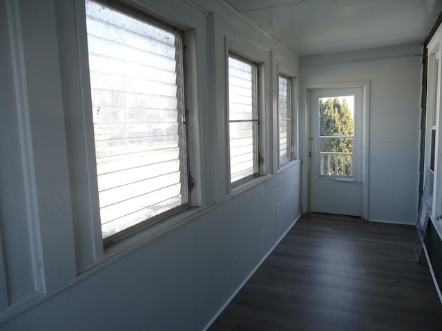 doorway with dark hardwood / wood-style flooring