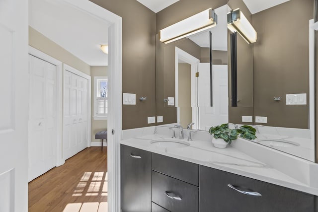 bathroom featuring vanity and wood-type flooring