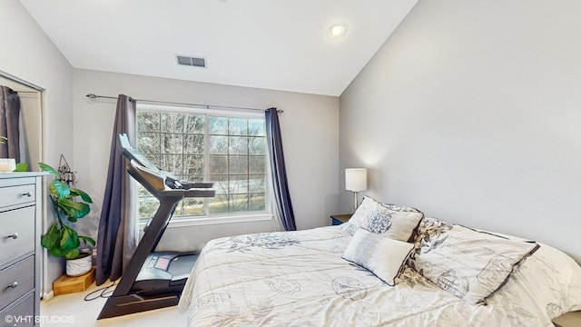 bedroom featuring lofted ceiling and multiple windows