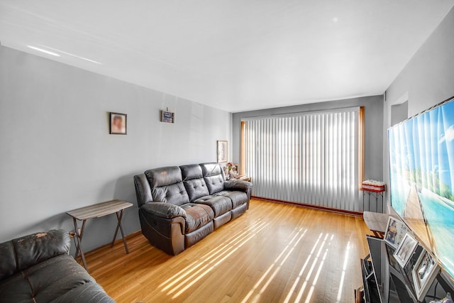 living room featuring hardwood / wood-style flooring