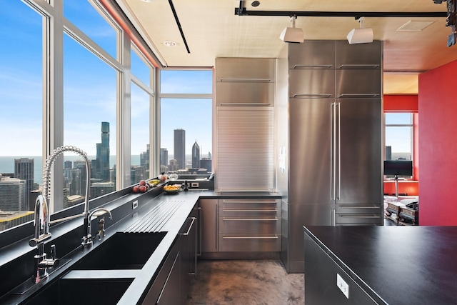 kitchen featuring a healthy amount of sunlight, rail lighting, and sink