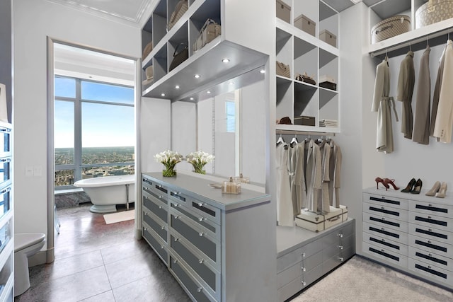 view of spacious closet