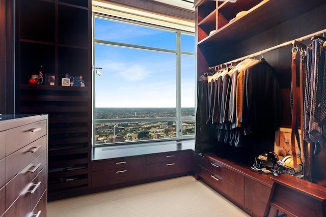 view of walk in closet